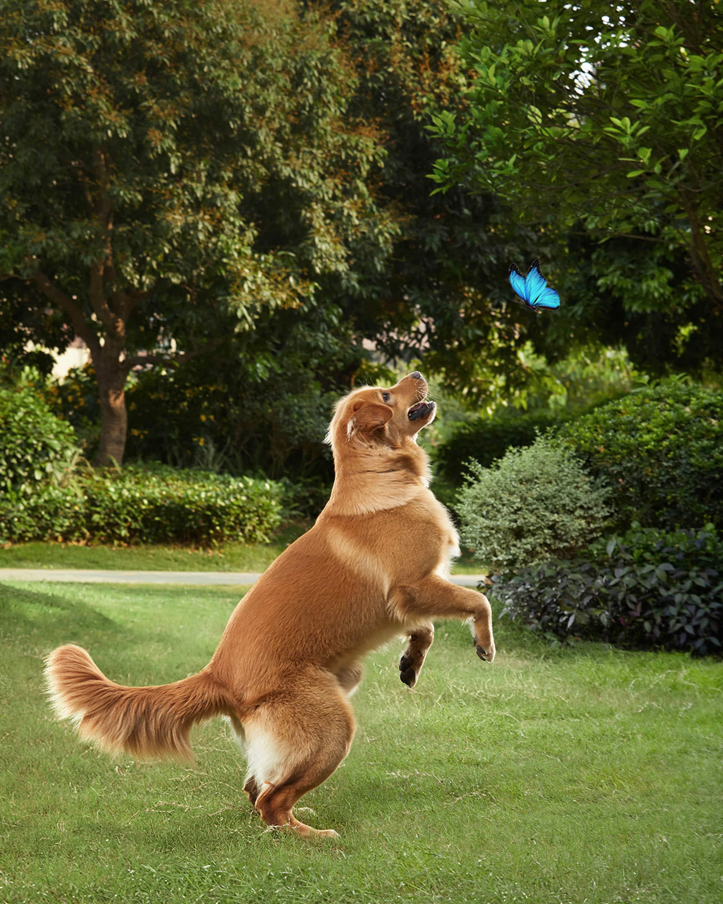 Angle. eufy - SoloCam S40 Outdoor Wireless 2K Solar Spotlight Camera - White.