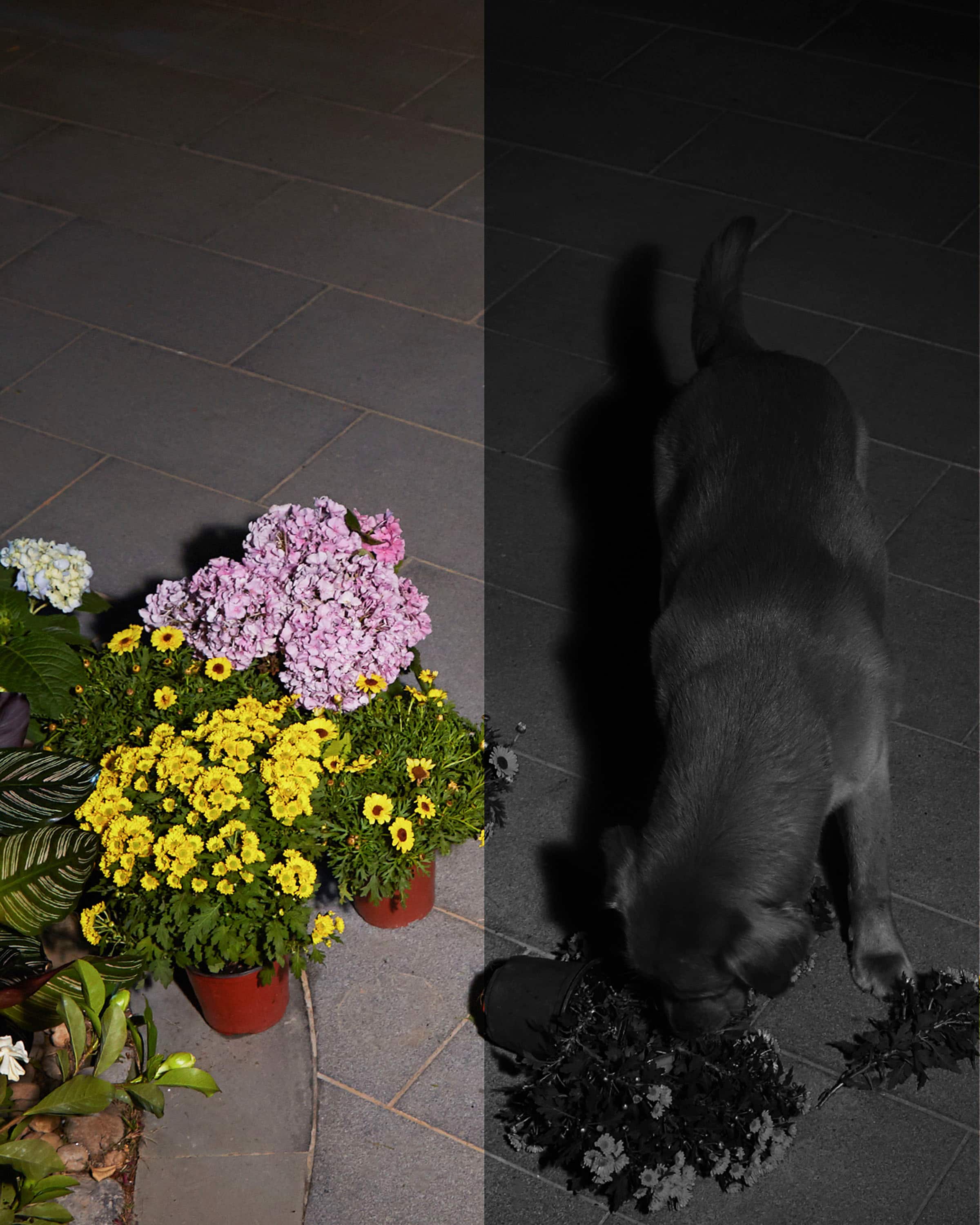 Alt View 11. eufy Security - SoloCam S40 Outdoor Wireless 2K Solar Spotlight Camera - White.