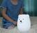 Angle. LumiPets - Kids' Night Light Bear Lamp with Remote - White.