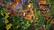 Alt View Zoom 14. Minecraft Dungeons Ultimate Edition - Nintendo Switch, Nintendo Switch Lite.