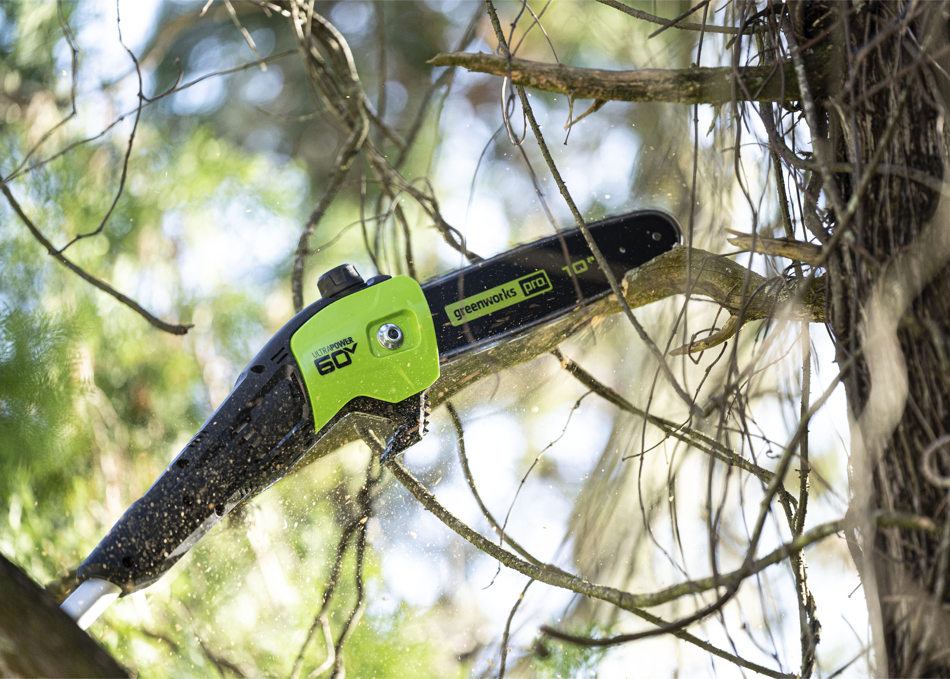 Greenworks pro pole cheap saw