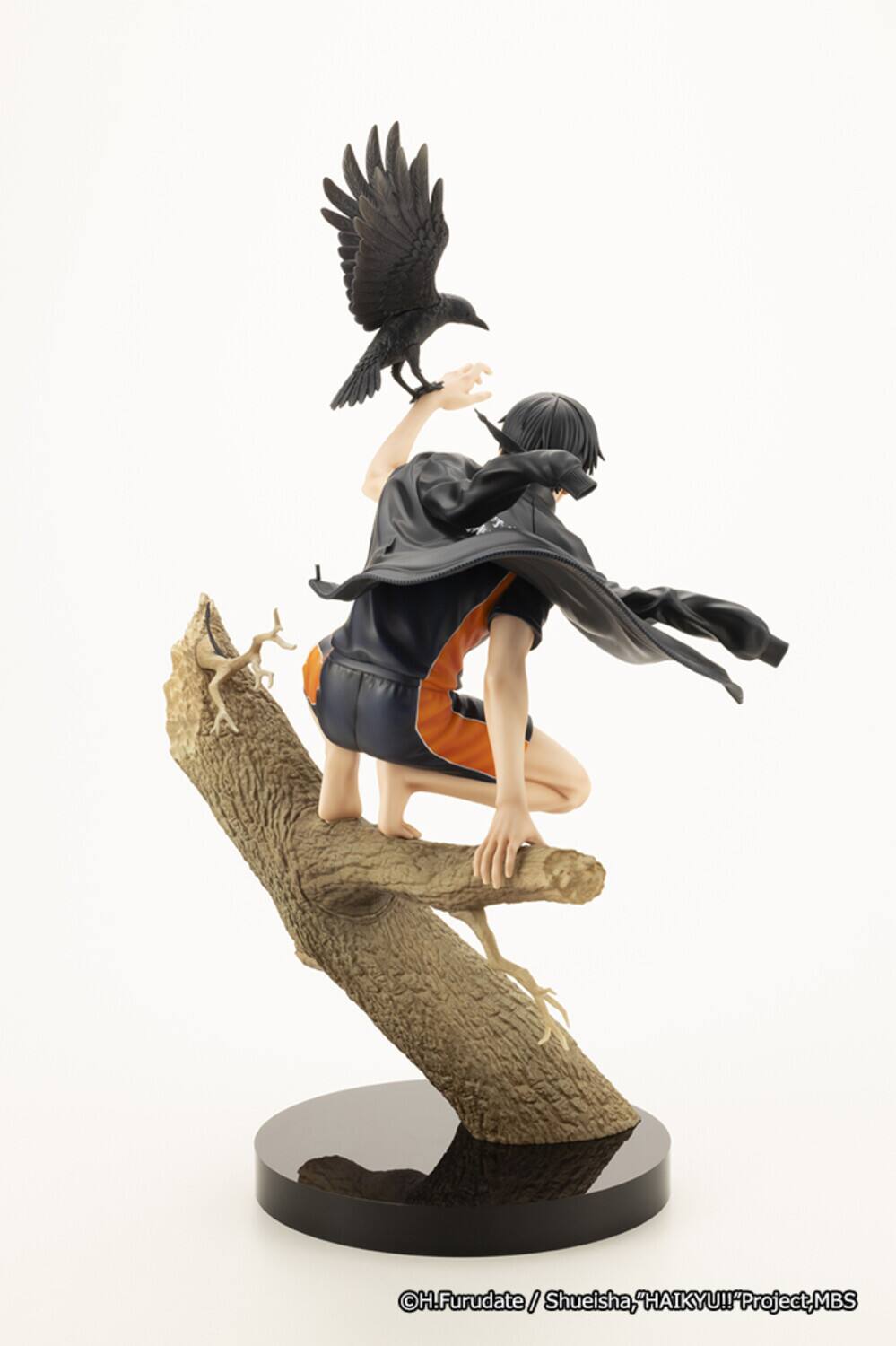 H.Furudate / Shueisha, "HAIKYU!!" Project, MBS