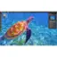 Alt View 14. Corel - Painter Essentials 8 (1-User).