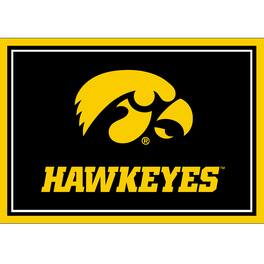 Imperial - Iowa Hawkeyes 2'8" x 3'10" Area Rug - Multicolor