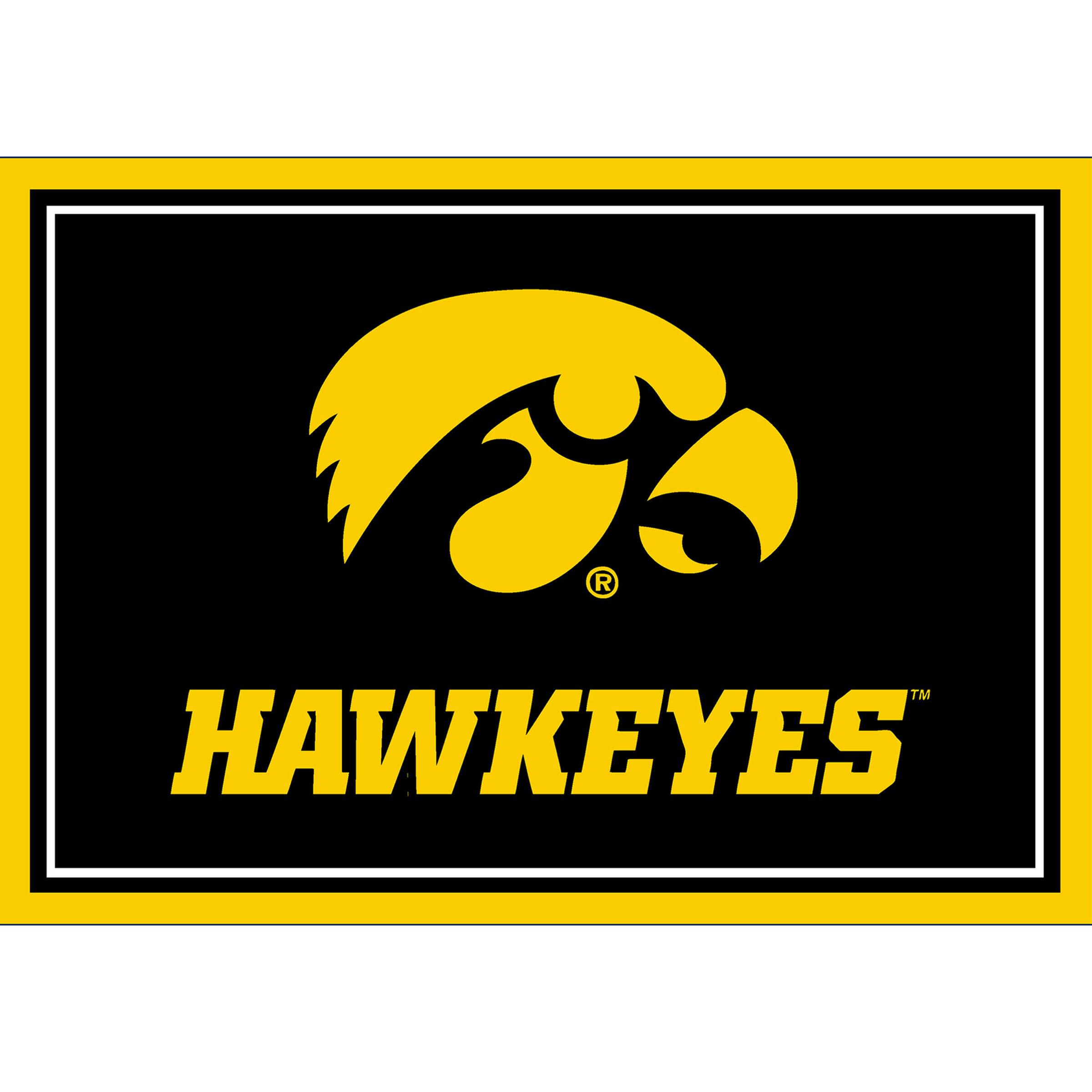 Front. Imperial - Iowa Hawkeyes 2'8" x 3'10" Area Rug - Multicolor.