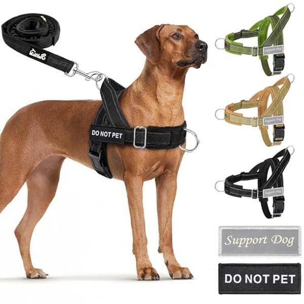 SlaviTs DO NOT PET  
Support Dog  
DO NOT PET