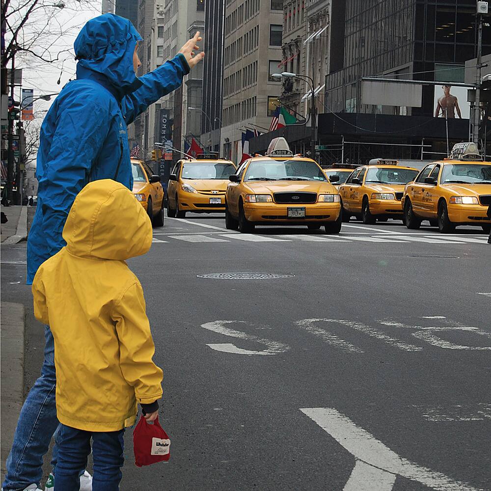 Best Buy WhizRider Compact and Safe Portable Car Seat Large WRLUSCBBY