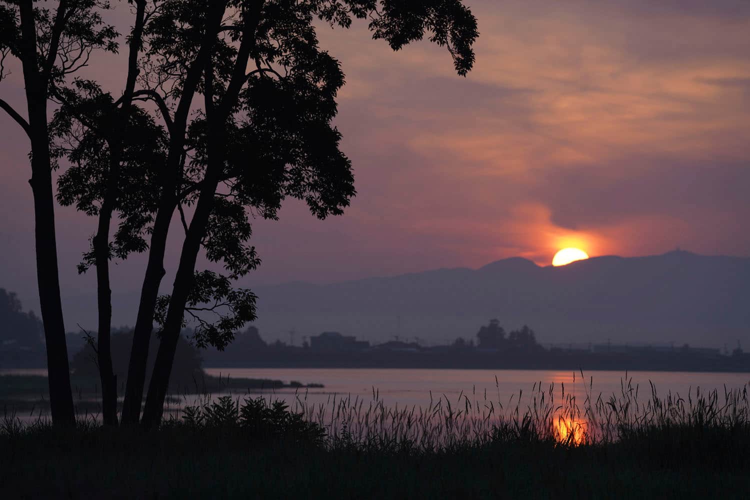 Alt View 23. Sony - FE 70-200mm F2.8 GM OSS II Full-Frame Telephoto Zoom G Master E mount Lens - White.