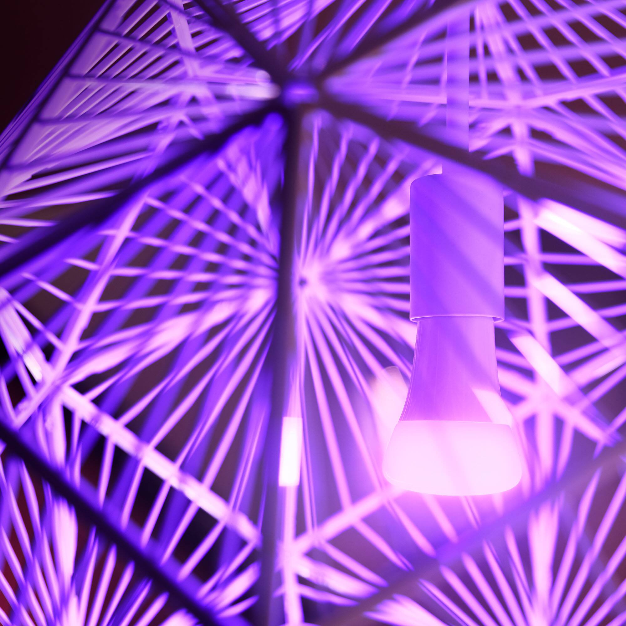 Alt View 15. Philips - Geek Squad Certified Refurbished Hue A19 Bluetooth 75W Smart LED Bulbs (2-Pack) - White and Color Ambiance.