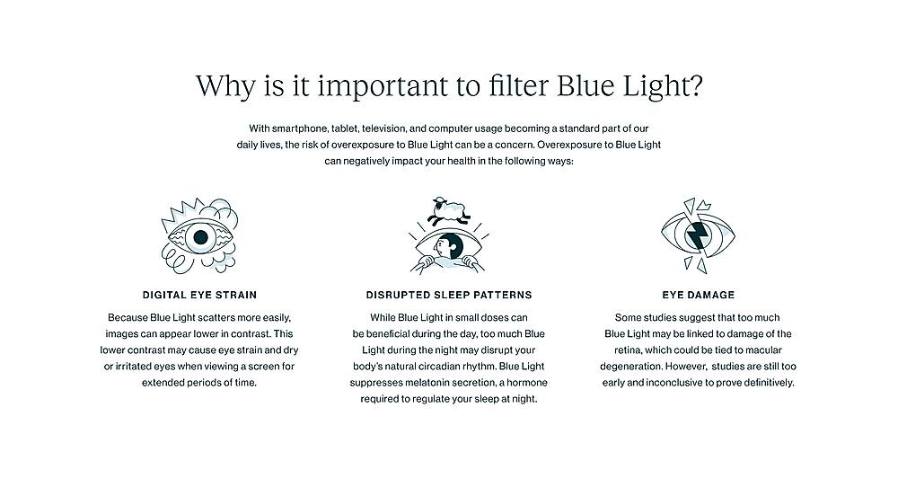 Alt View 18. Felix Gray - Roebling Blue Light Glasses (with case & cloth) - Sazerac Crystal.