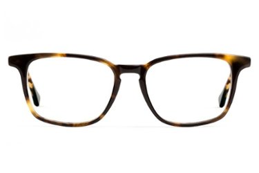 Felix Gray - Nash Blue Light Glasses (with case & cloth) - Whiskey Tortoise - Front_Zoom