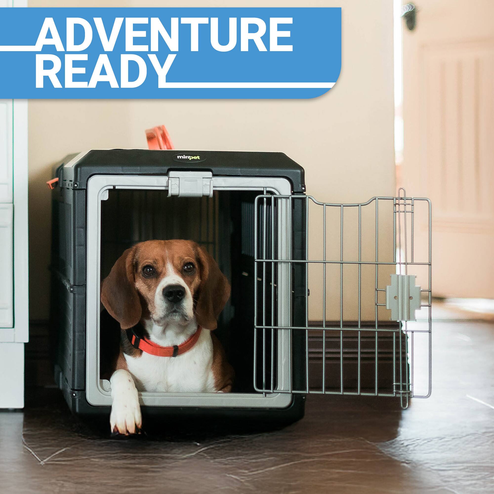ADVENTURE READY