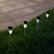 Alt View 11. Nature Spring - Solar Outdoor LED Lights (Set of 4) - Mosaic.