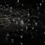 Alt View 16. Nature Spring - 72-Foot Solar Powered LED String Lights - Green.