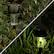 Alt View 15. Nature Spring - Solar Path Lights Set of 12 - Black.