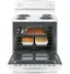 Angle. GE - 5.0 Cu. Ft. Freestanding Electric Range - White.