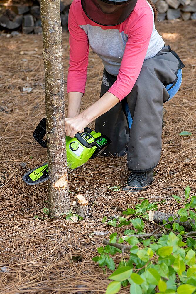 Alt View 21. Greenworks - 12 in. 24-Volt Cordless Brushless Chainsaw (4Ah USB Battery and Charger Included) - Green.