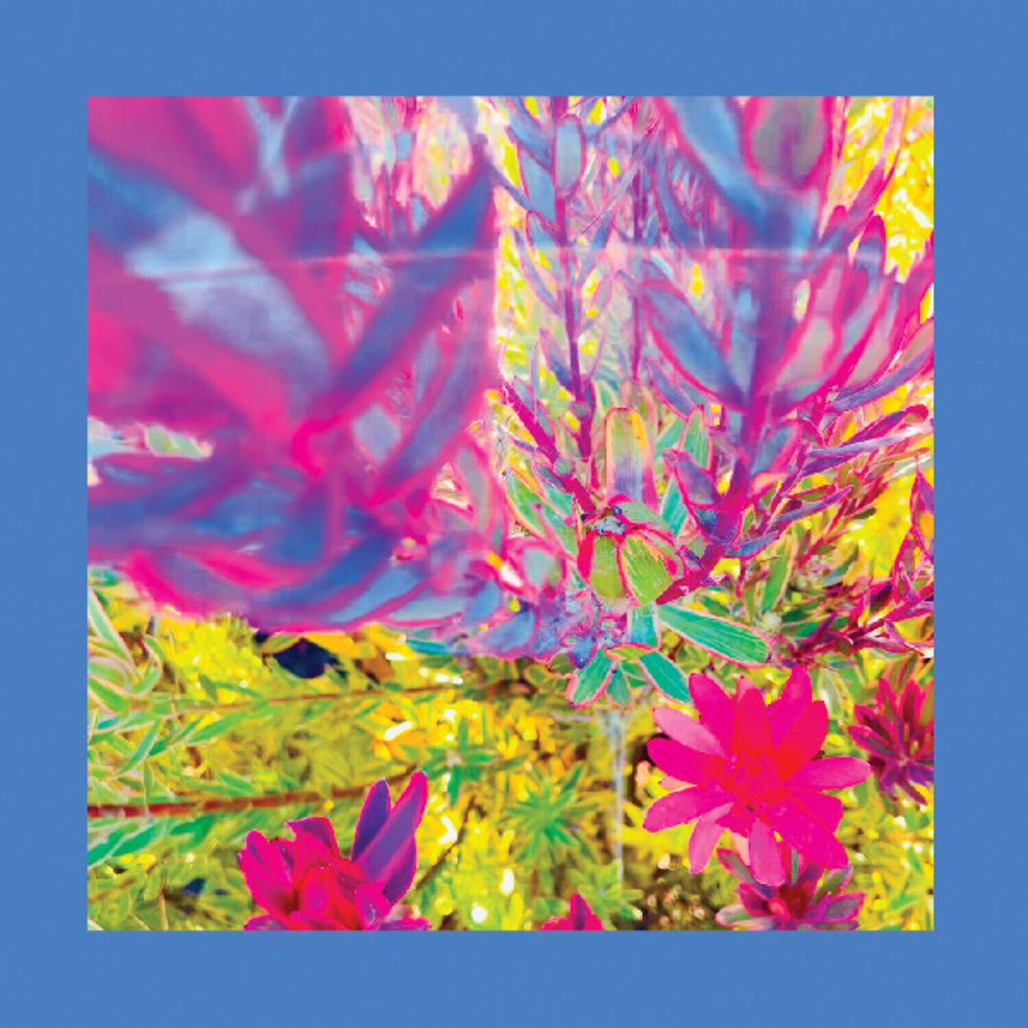 Alt View 1. Reds Pinks & Purples - The Past is a Garden I Never Fed   - VINYL LP.