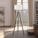 Alt View 11. Camden&Wells - Kahn Floor Lamp - Blackened Bronze/Antique Brass.