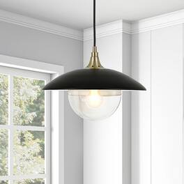 Hudson&Canal - Alvia Clear Glass Pendant - Matte Black/Brass