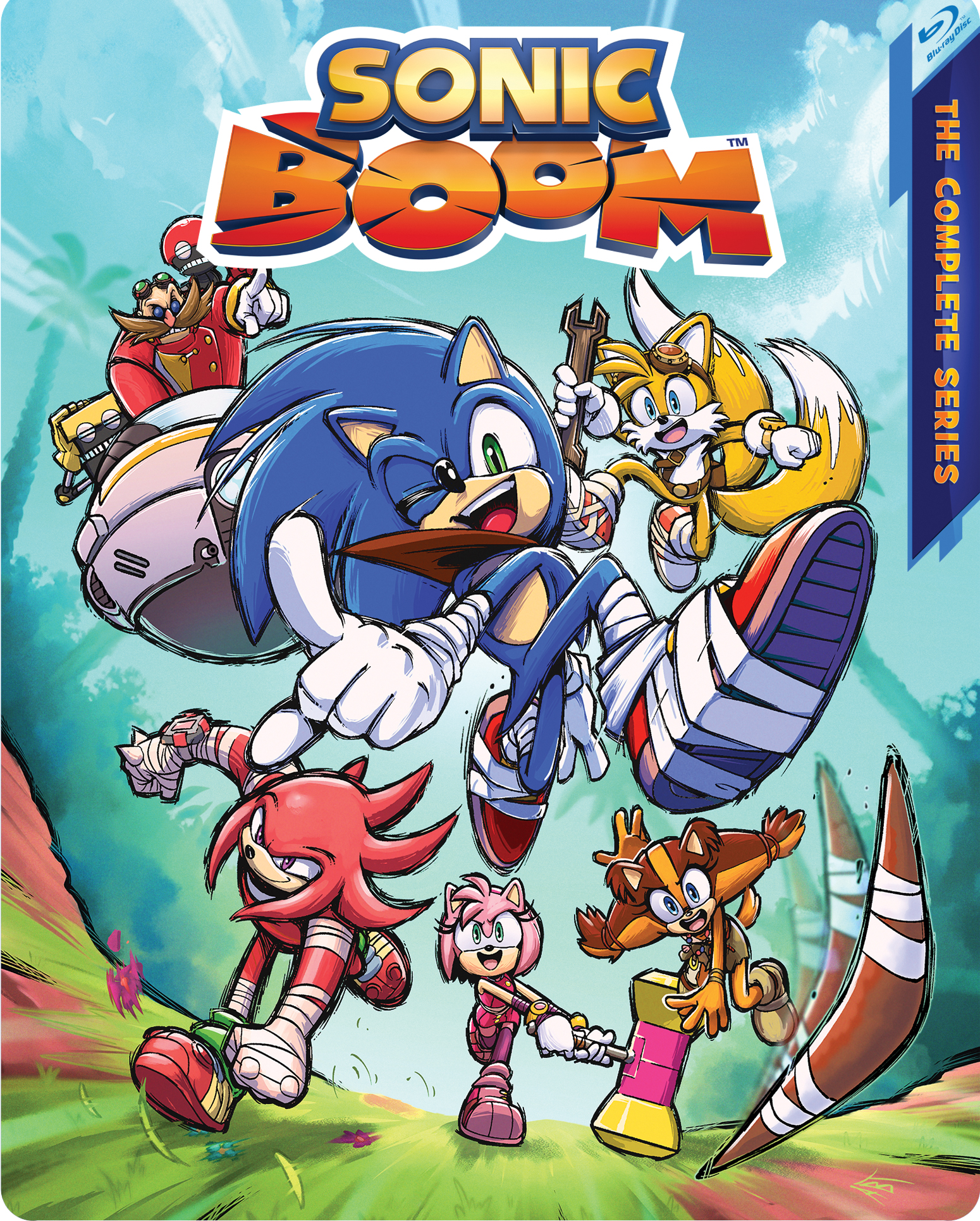 Sonic the Hedgehog (Sonic Boom)  Sonic boom, Sonic the hedgehog