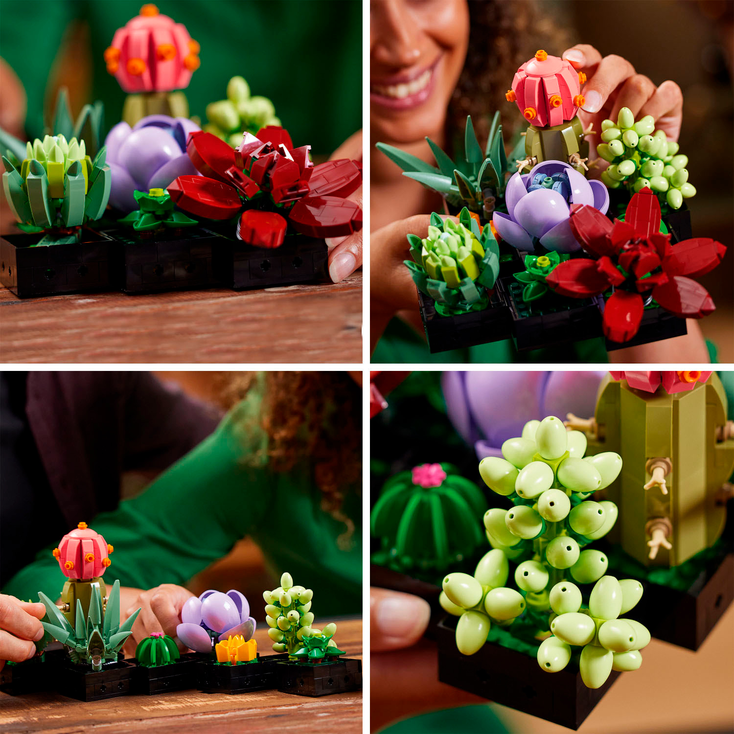 Customer Reviews: LEGO Succulents 10309 Plant Decor Toy Building Kit ...