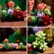 Alt View Zoom 11. LEGO Succulents 10309 Plant Decor Toy Building Kit (771 Pieces).
