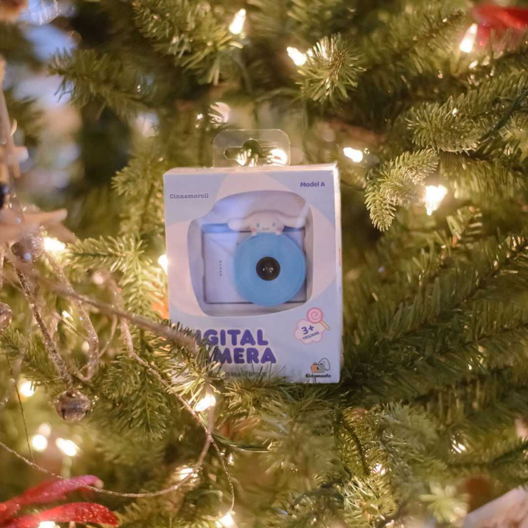 The text on the image is "Digital Camera."