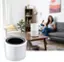 Alt View 12. Levoit - PlasmaPro 200S True HEPA Replacement Filter - White.