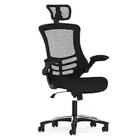 Alamont Home - Kelista Contemporary Mesh Executive Swivel Office Chair - Black - Front_Zoom