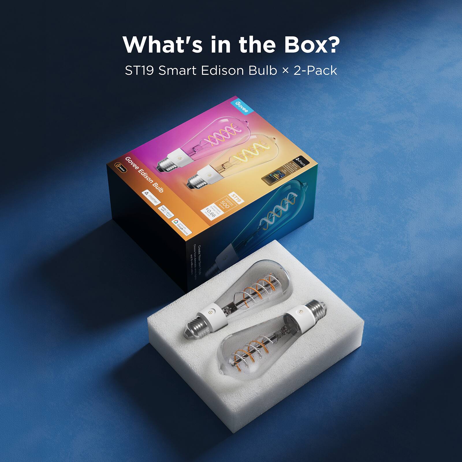 What's in the Box?  
ST19 Smart Edison Bulb x 2-Pack