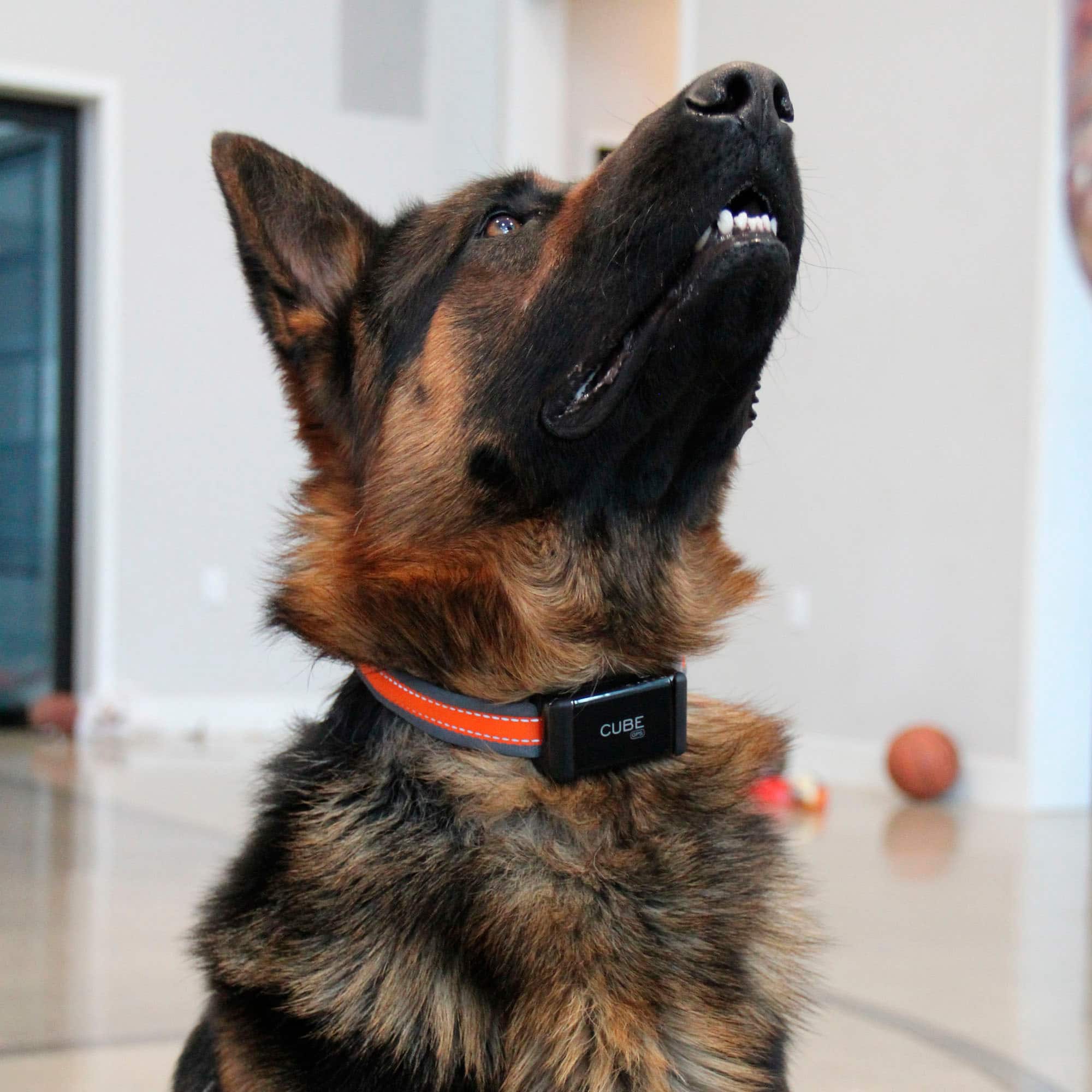 Alt View 17. Cube - Vehicle and Pet GPS Tracker - Black.