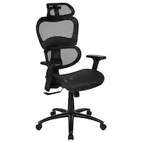 Alamont Home - Lo Contemporary Mesh Executive Swivel Office Chair - Black - Front_Zoom