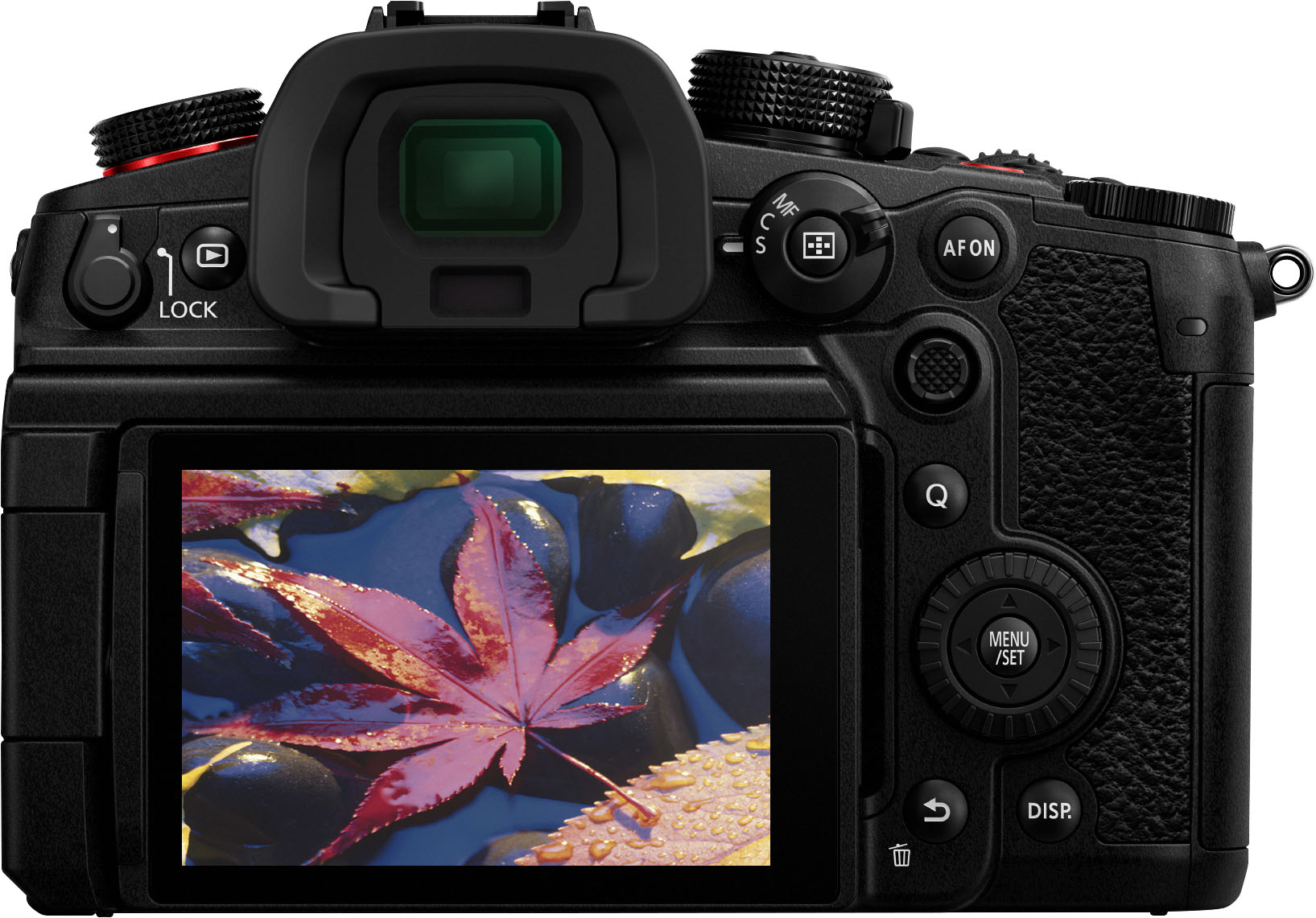 Panasonic LUMIX GH6 Mirrorless Camera Body with 12-60mm F/2.8-4.0 