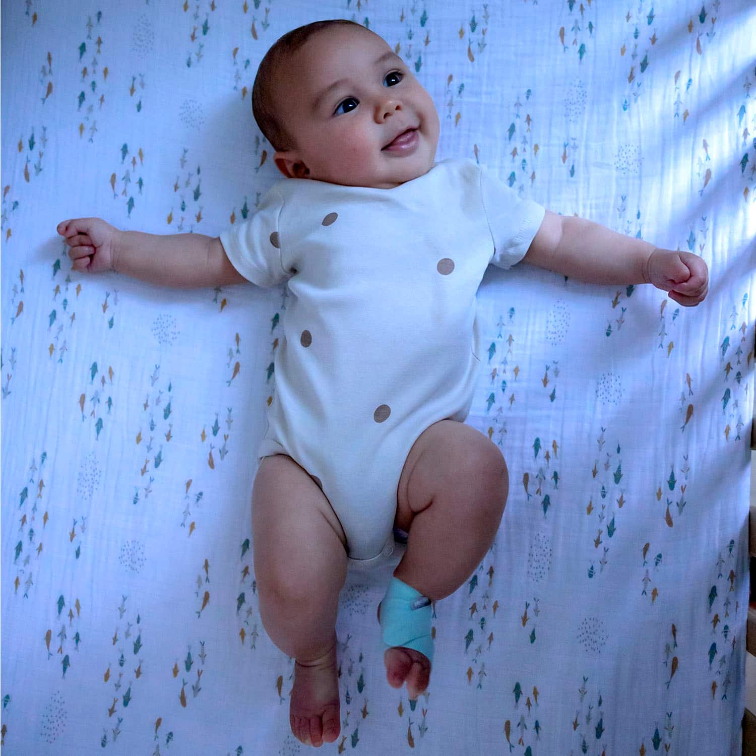 Questions and Answers Owlet Dream Sock FDACleared Smart Baby Monitor