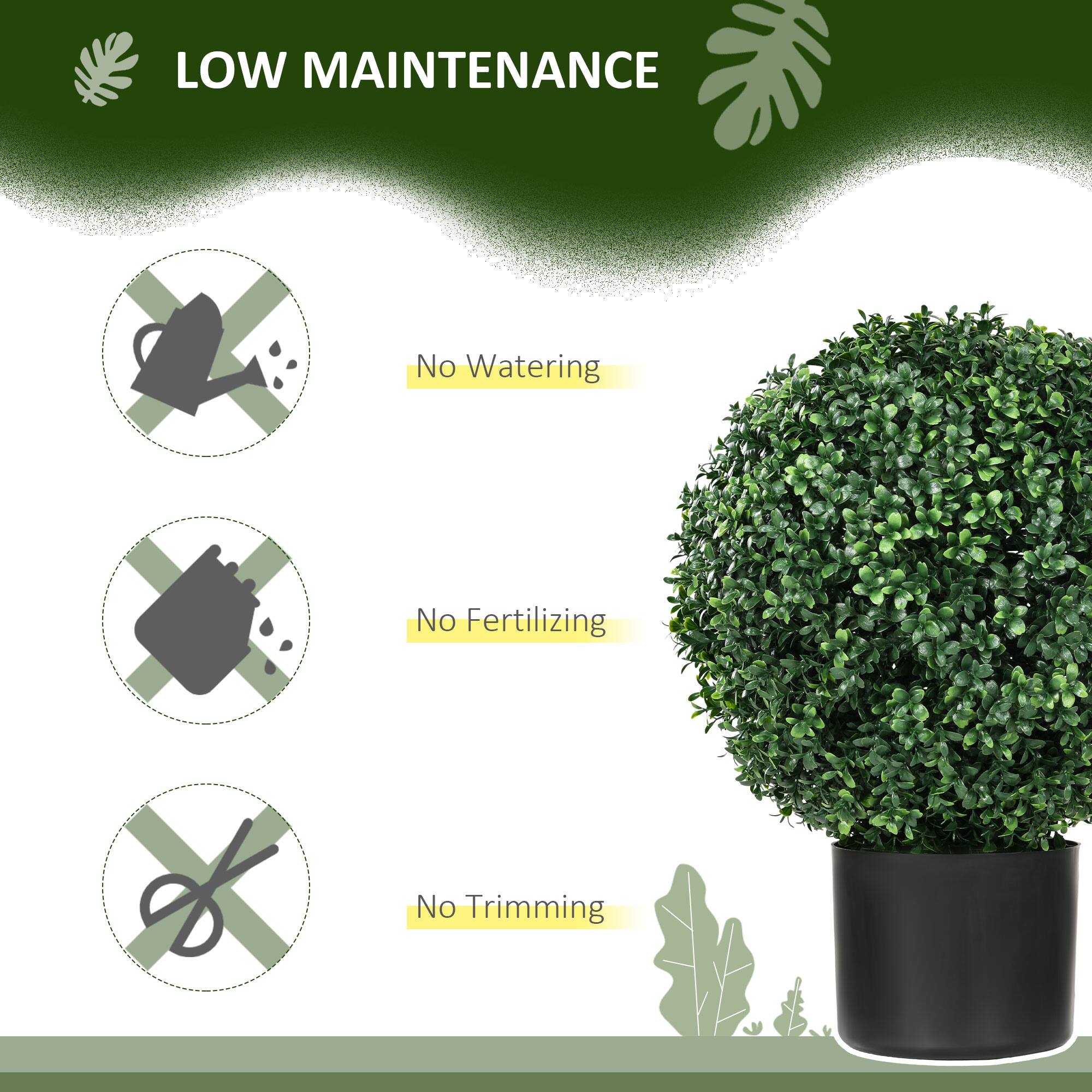 LOW MAINTENANCE

No Watering
No Fertilizing
No Trimming