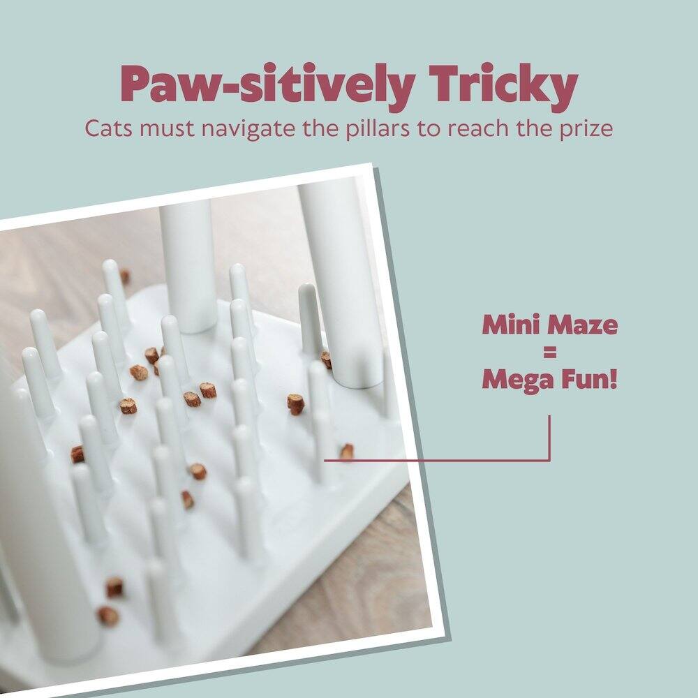 Paw-sitively Tricky  
Cats must navigate the pillars to reach the prize  

Mini Maze = Mega Fun!