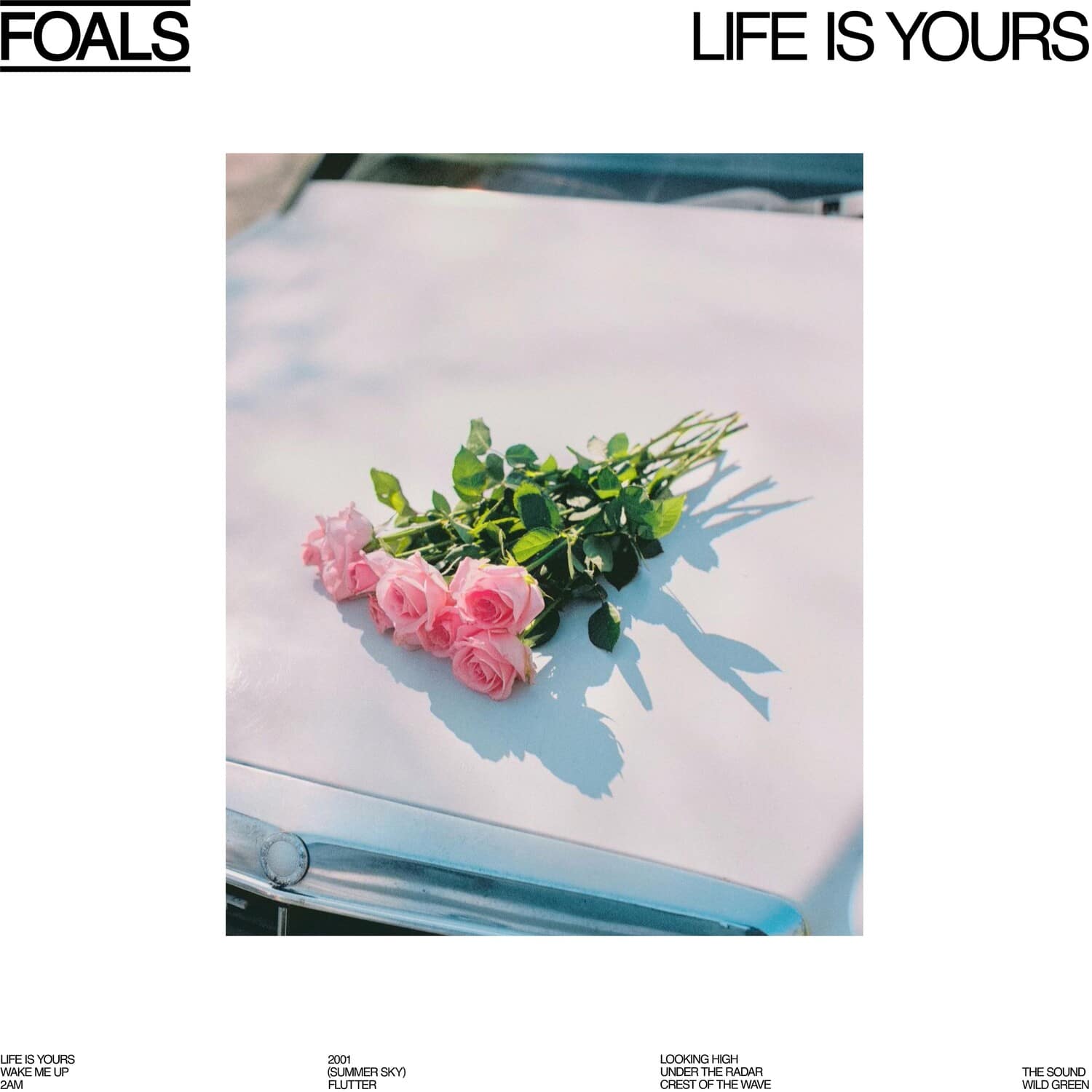Foals - Life Is Yours   - VINYL LP price history on PriceWatchPro