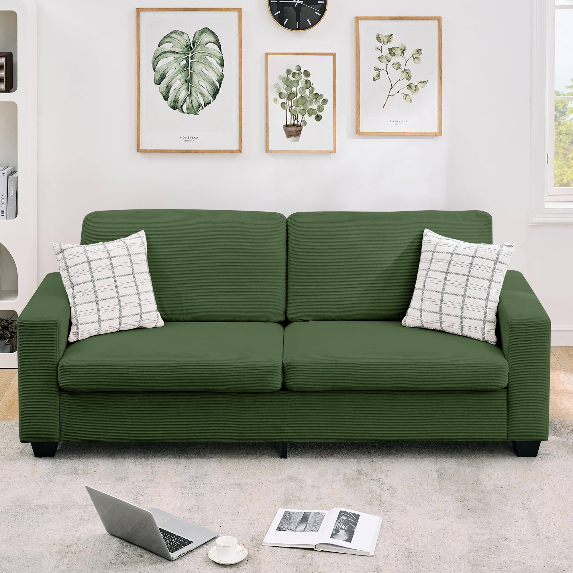 Sure, here is the corrected and grouped text from the image:

- MONSTERA
- FICUS
- THE OUTLOOK