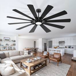 Breezary - 52-Inch Modern Ceiling Fan with 10 Plywood Blades, DC Motor, 6-Speed Remote, Tri-Color LED Light, Dual Downrod Mount - Matte Black