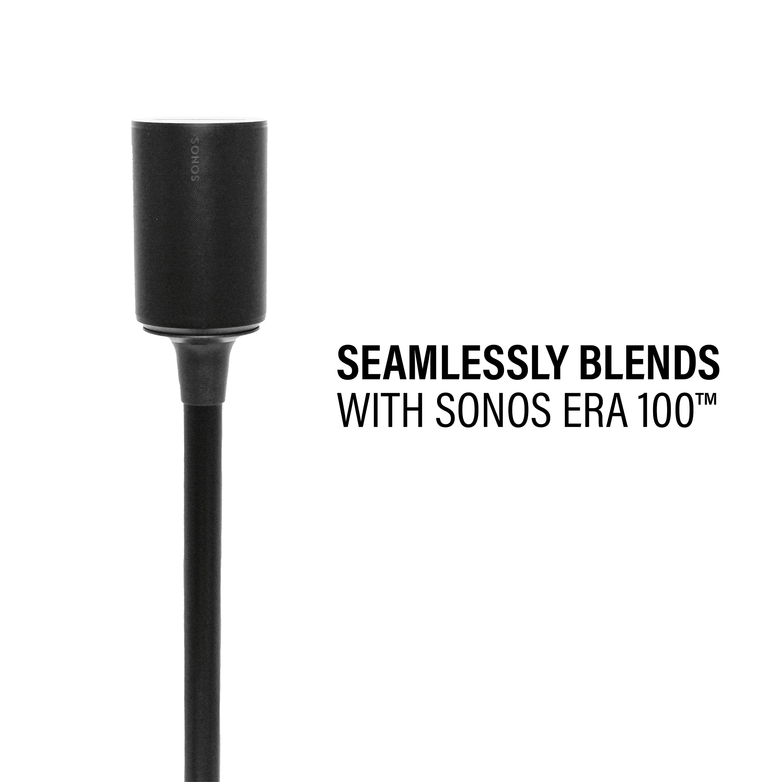 Seamlessly blends with Sonos Era 100™