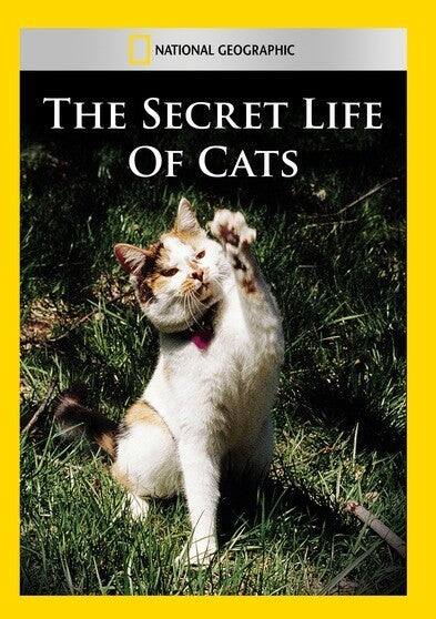 Front. The Secret Life of Cats - DVD.