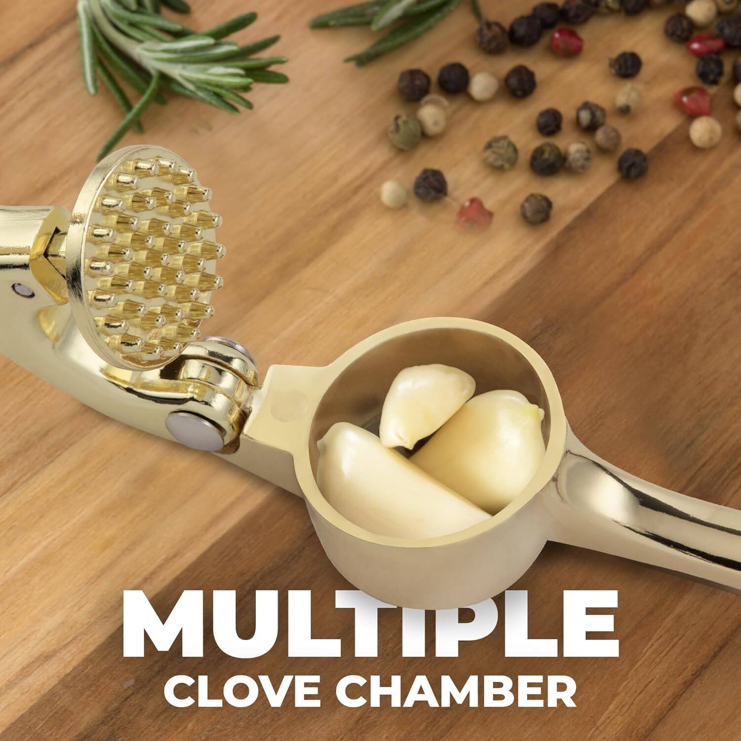 MULTIPLE CLOVE CHAMBER
