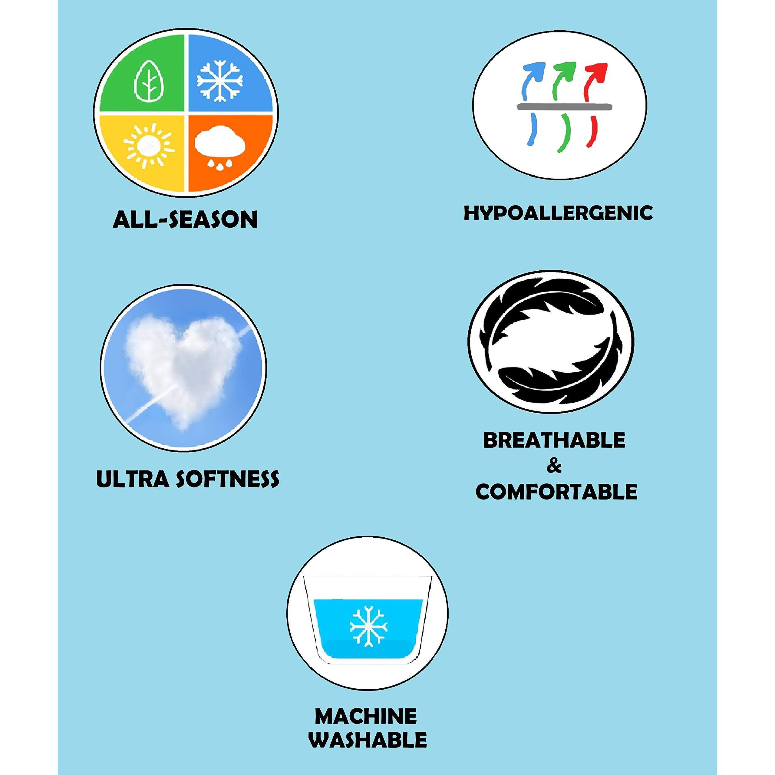 ALL-SEASON  
HYPOALLERGENIC  
ULTRA SOFTNESS  
BREATHABLE & COMFORTABLE  
MACHINE WASHABLE