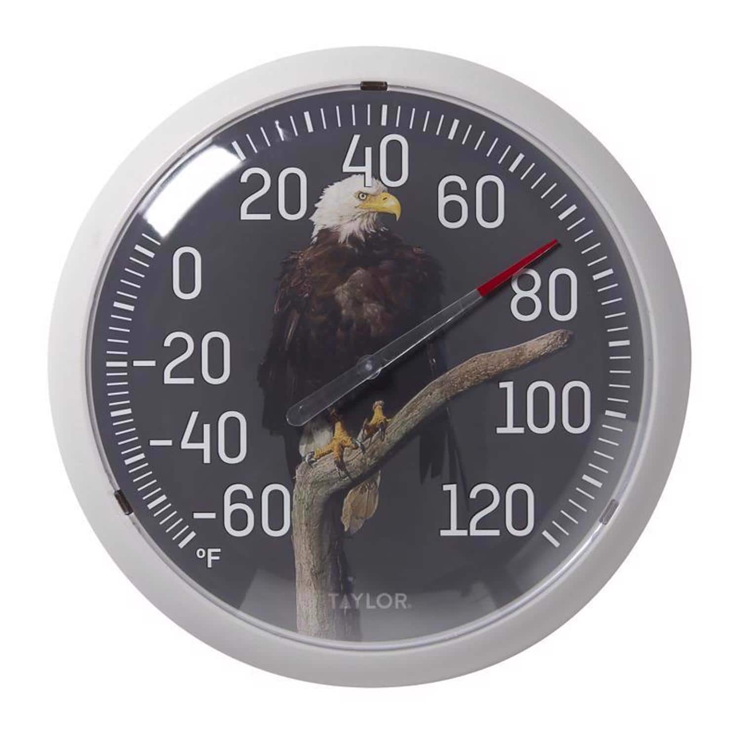 Taylor - Eagle Dial Thermometer Plastic Multicolored 13.25 in. - Case of 4