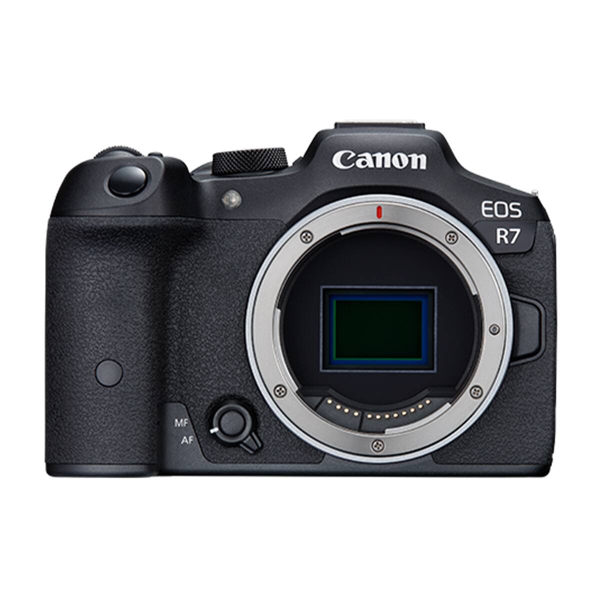 Canon
EOS R7
MF AF