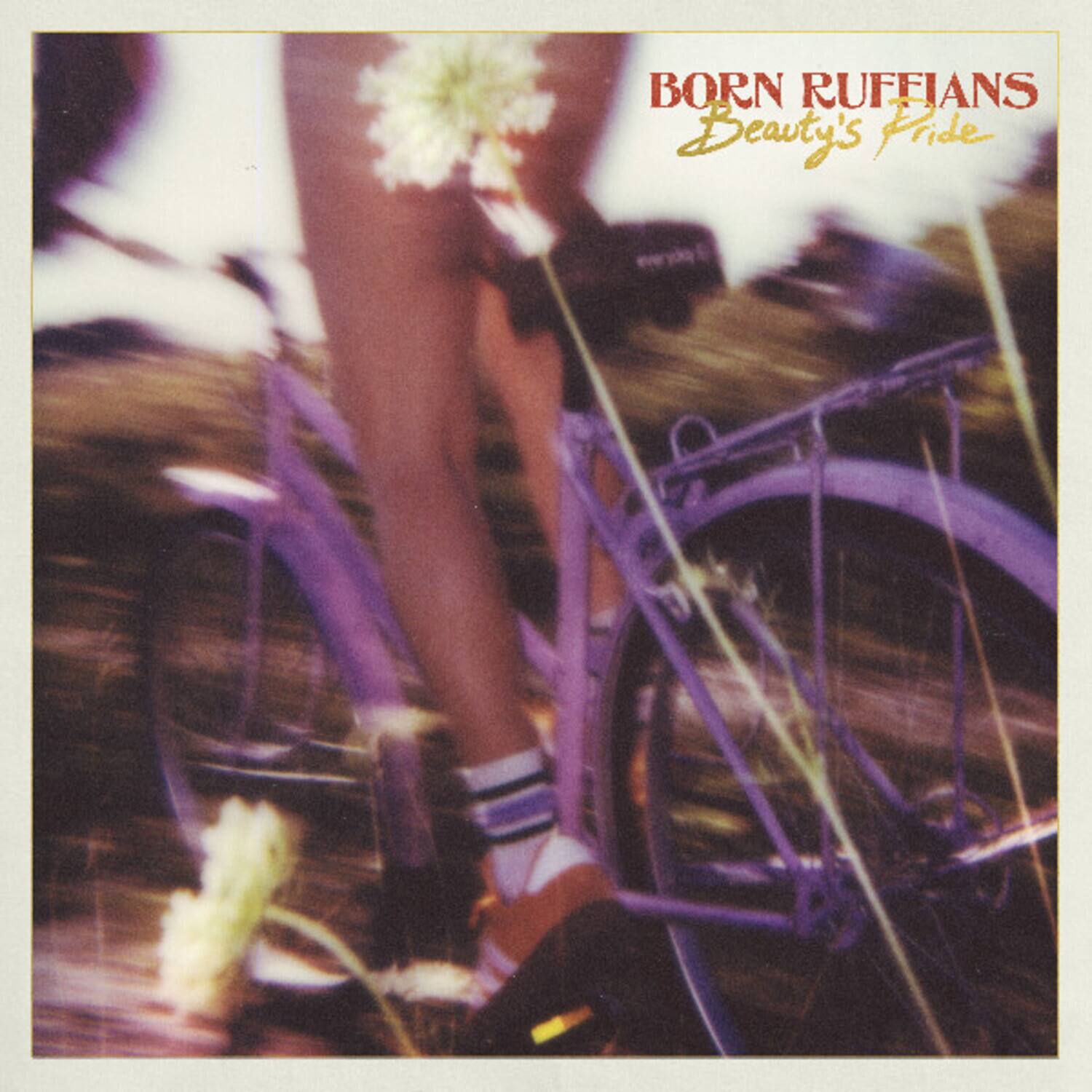 Born Ruffians - Beauty's Pride  - COMPACT DISCS