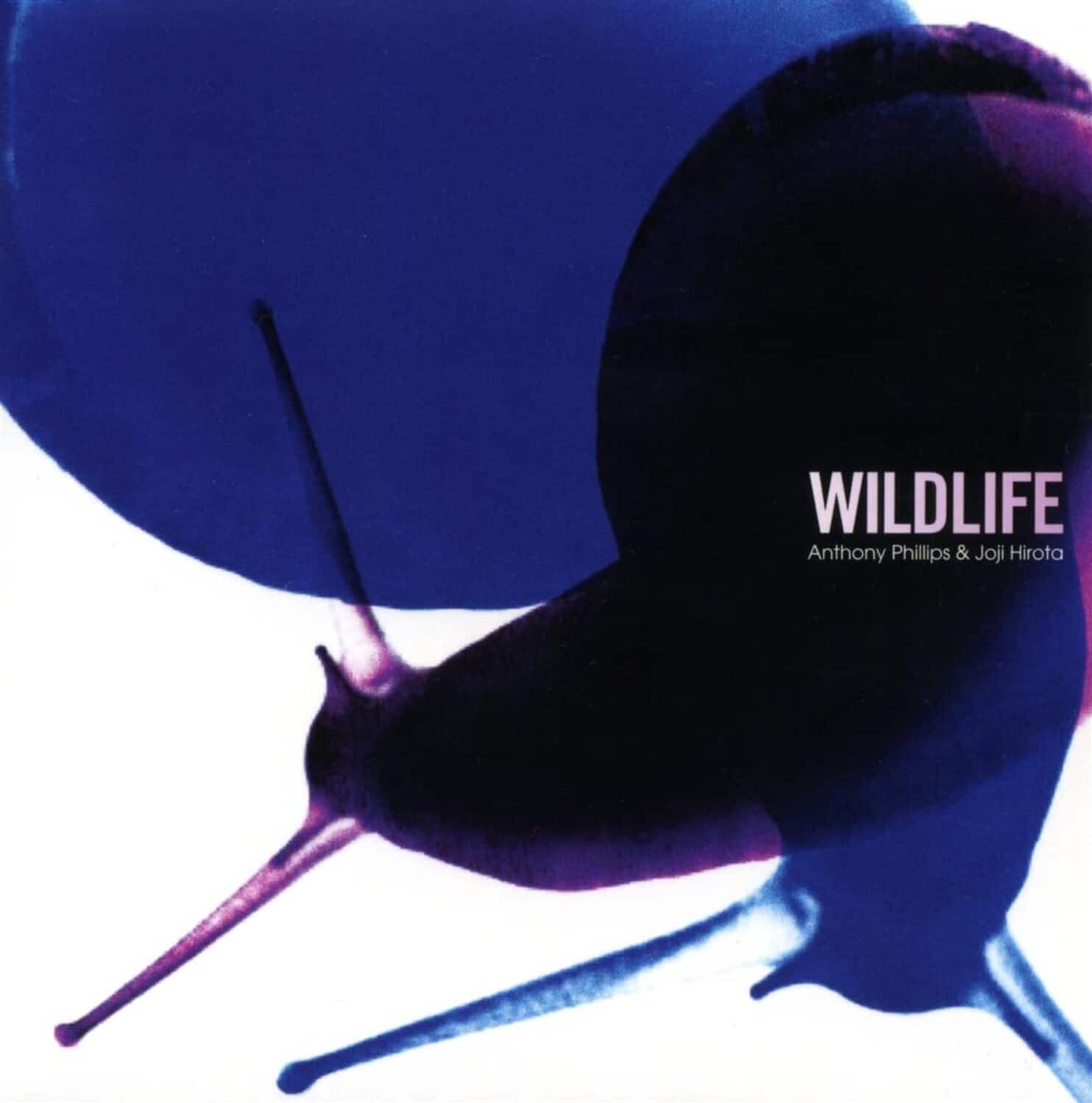 Phillips,Anthony / Hirota,Joji - Wildlife - Remastered & Expanded Edition   - COMPACT DISCS [CD] price history on PriceWatchPro