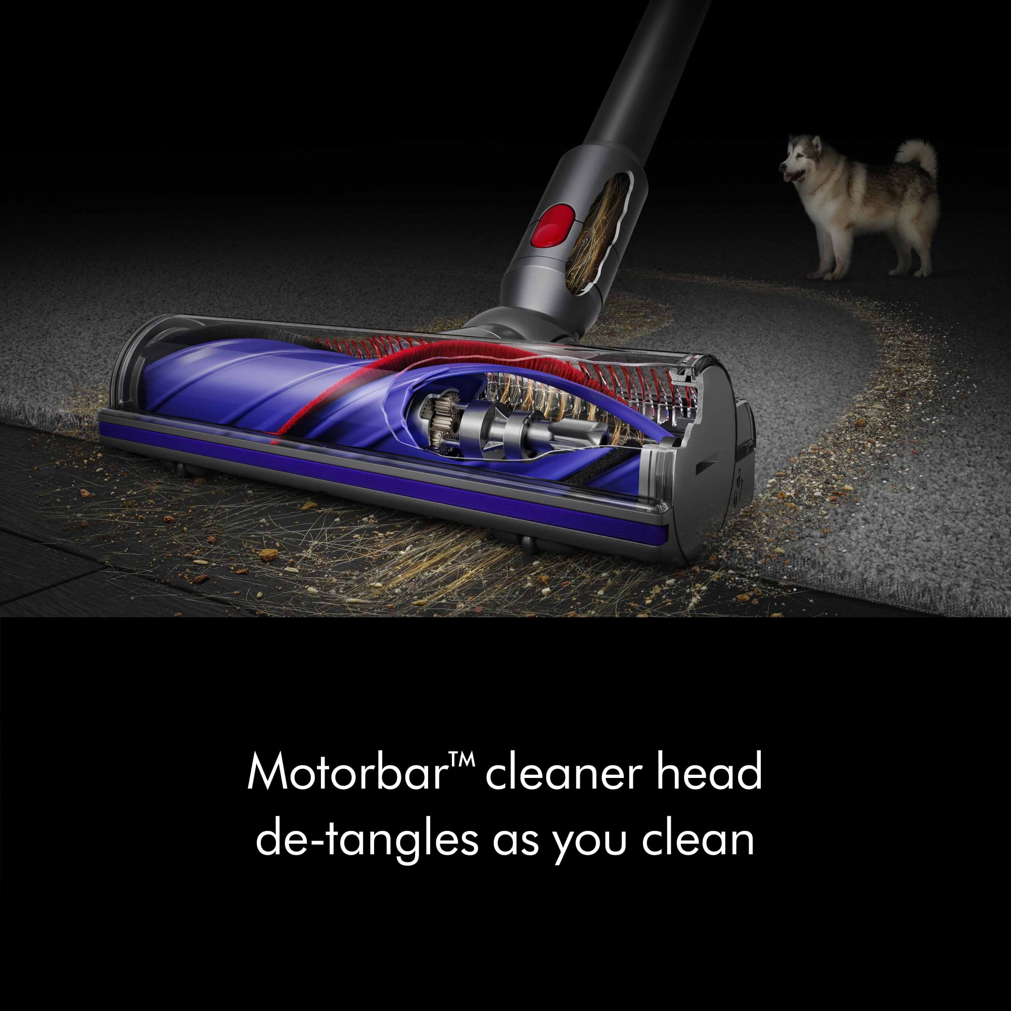 The image features a blue and red vacuum cleaner with a dog standing next to it. The text in the image reads, "TM Motorbart cleaner head de-tangles as you clean." This suggests that the vacuum cleaner has a unique feature that helps to untangle hair and debris while cleaning.