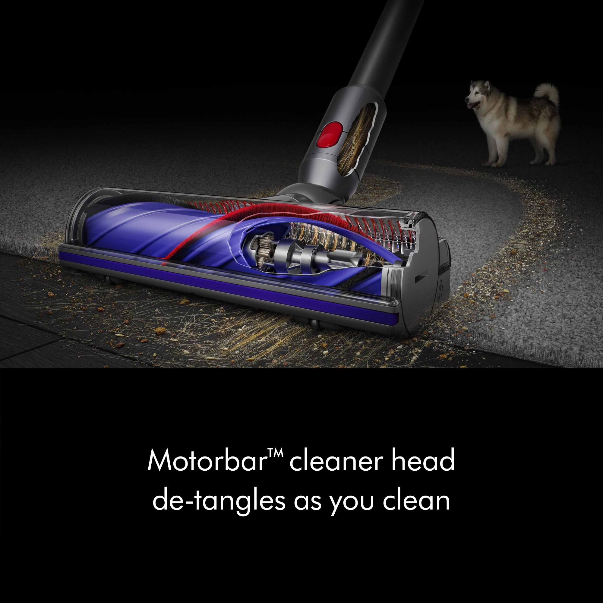The image features a blue and red vacuum cleaner with a dog standing next to it. The text in the image reads, "TM Motorbart cleaner head de-tangles as you clean." This suggests that the vacuum cleaner has a unique feature that helps to untangle hair and debris while cleaning.